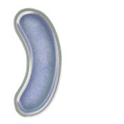 235