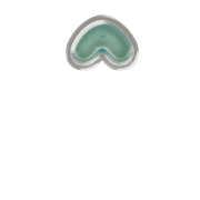 231