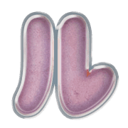 121