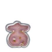 047