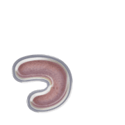 052