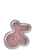 055