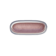 161