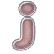 197