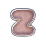 213
