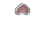 231