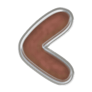 008