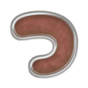 018
