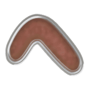 029
