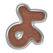038