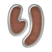 040
