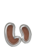 048