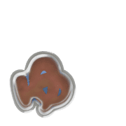 054