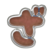 061