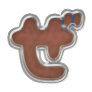 064