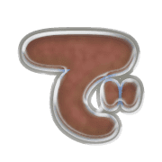 069