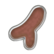082