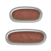 102