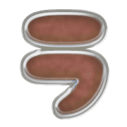 119