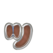 132