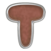 181