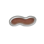 224