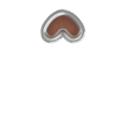 231