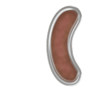 234