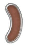 235