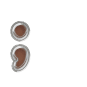 243