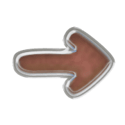 262