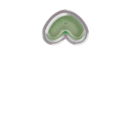 231
