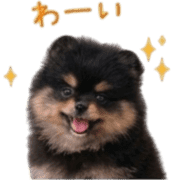 026