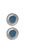 244