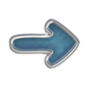 262