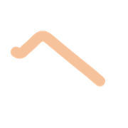 029