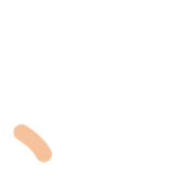 256