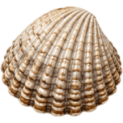 010