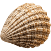 011
