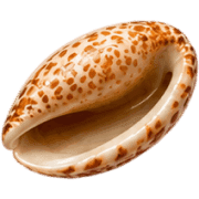 019