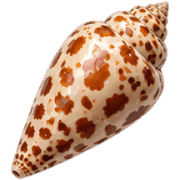 024