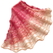 025