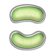 010