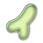 082