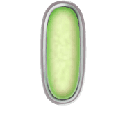 199