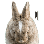030