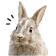 040