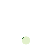 246