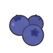 028
