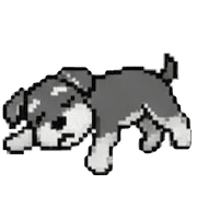 019